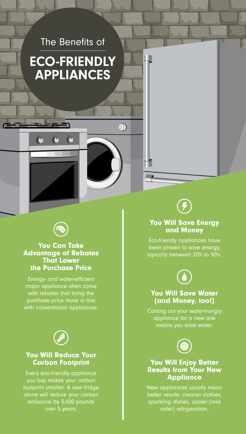 EnergyEfficient Appliances EcoFriendly Kitchen