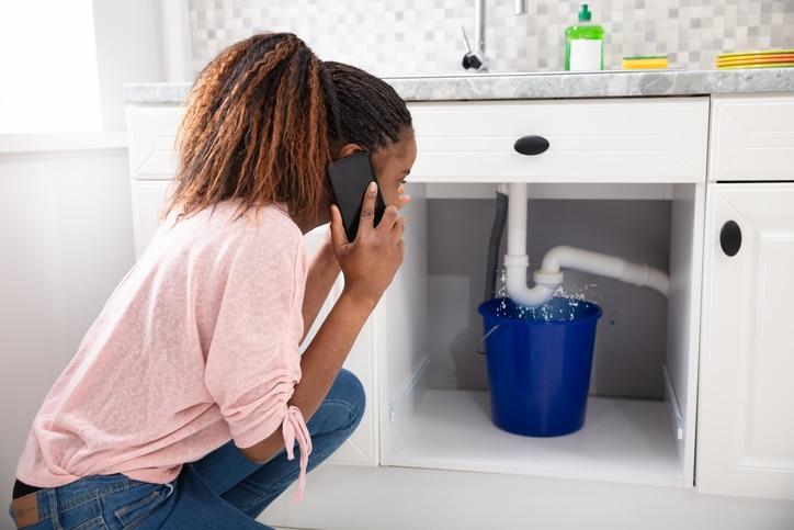 Prevention Techniques Kitchen Sink Leaks