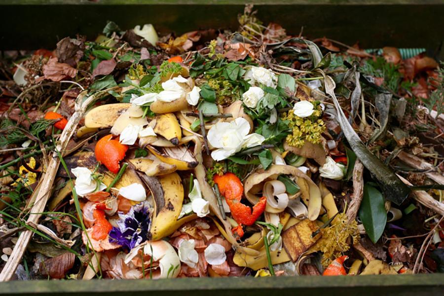 Using Technology Combat Food Waste